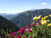 Angerkar-Almhütte im Sommer